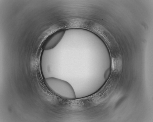 X0000110920579200906181410