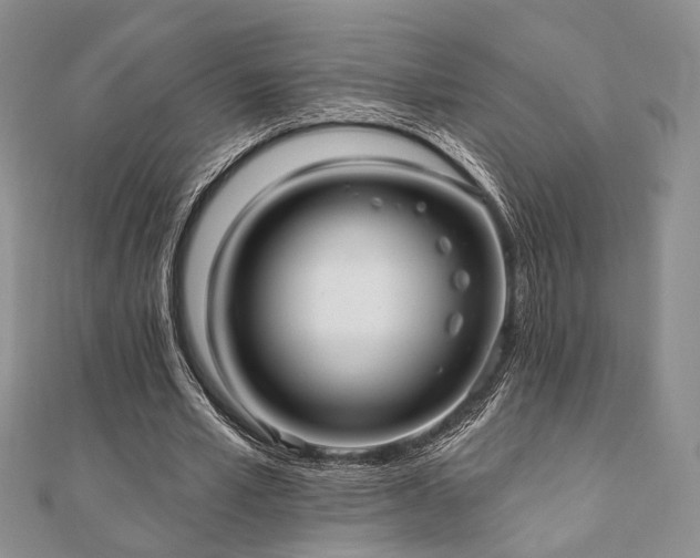 X0000110920581200906181410