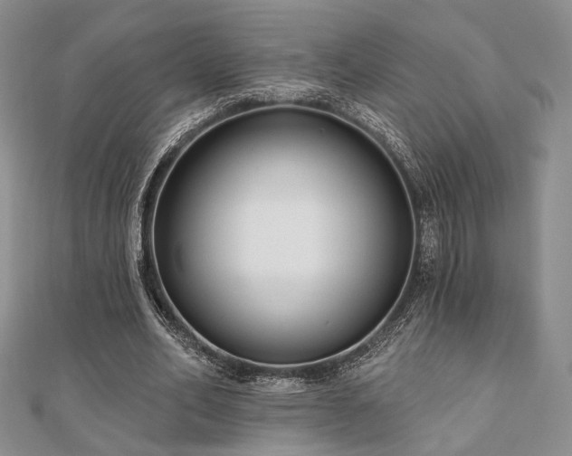 X0000110920582200906181410