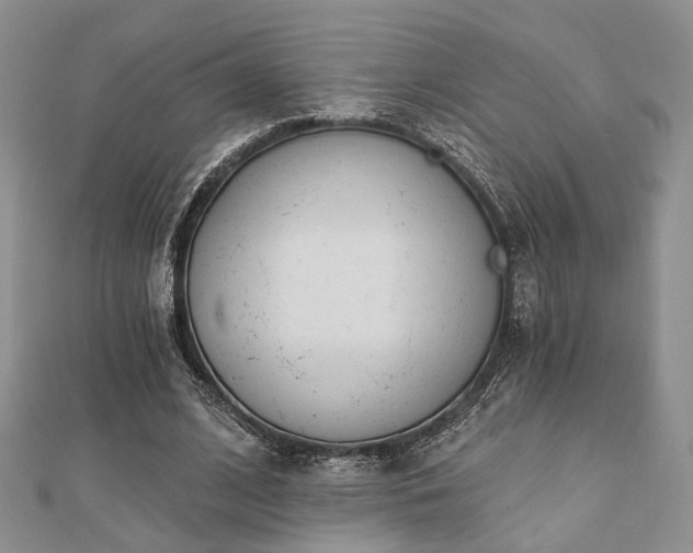X0000110920584200906181410