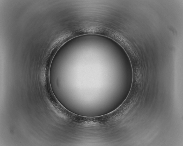 X0000110920586200906181410