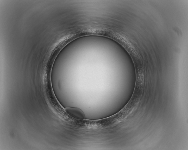 X0000110920587200906181410