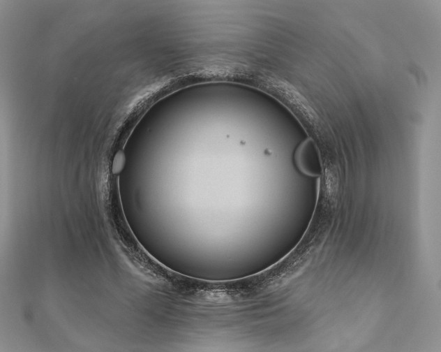 X0000110920588200906181410