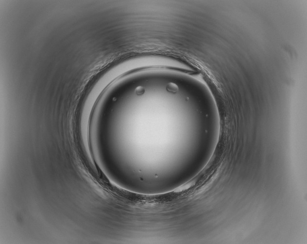 X0000110920589200906181410
