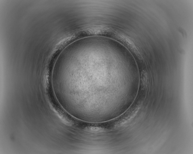 X0000110920590200906181410