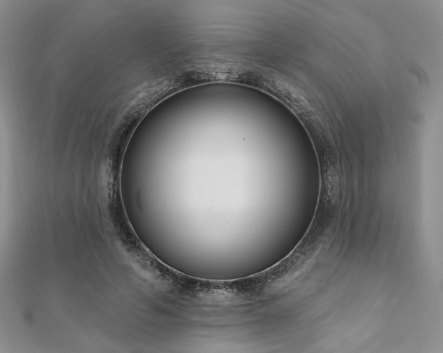X0000110920594200906181410