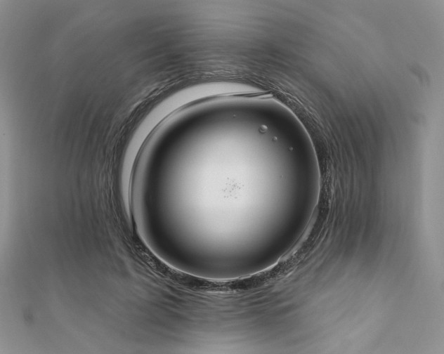 X0000110920595200906181410