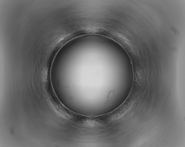 X0000110920596200906181410