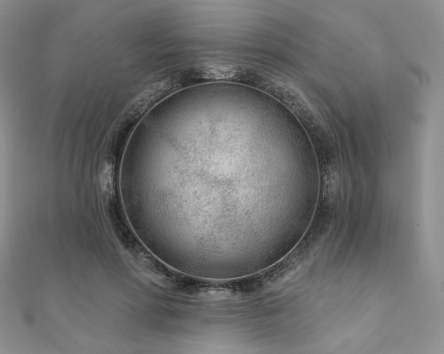 X0000110920598200906181410