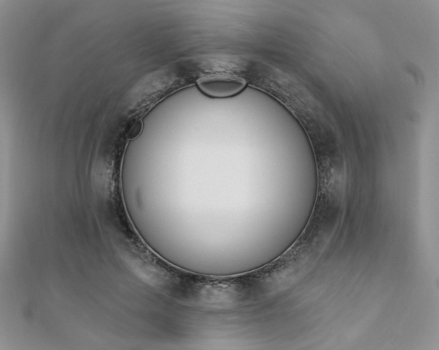 X0000110920599200906181410