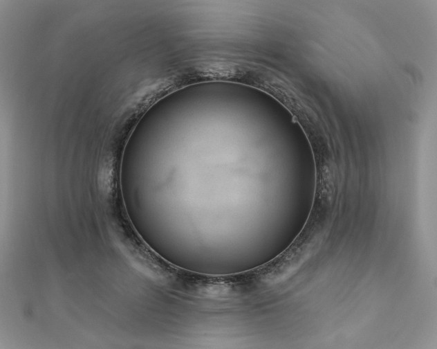 X0000110920600200906181410
