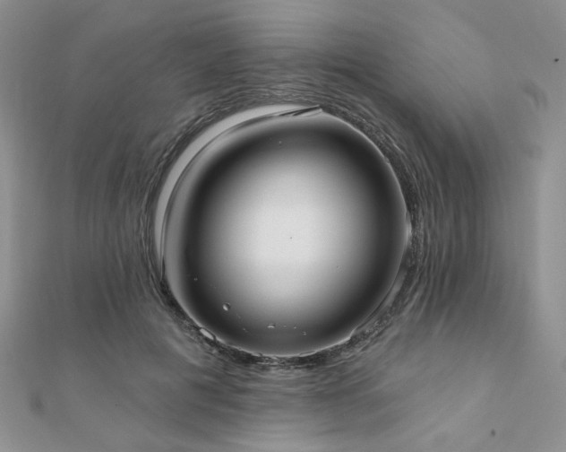 X0000110920601200906181410