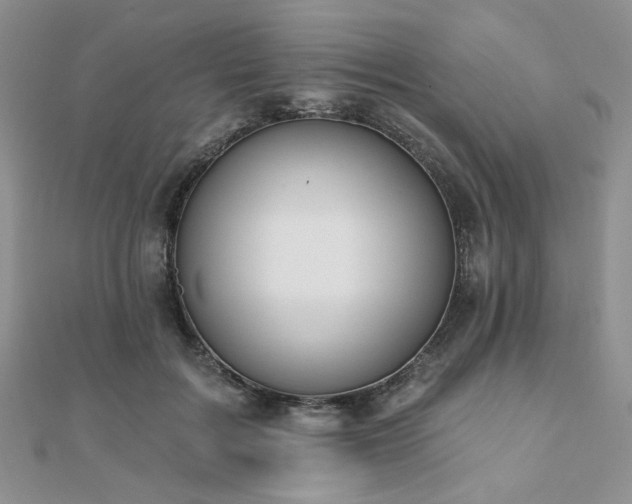 X0000110920603200906181410