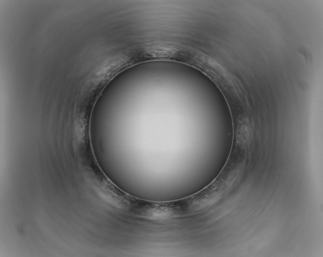 X0000110920604200906181410