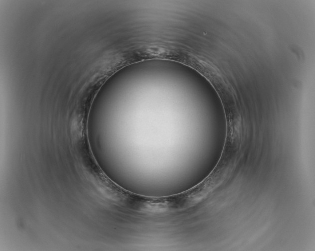 X0000110920606200906181410