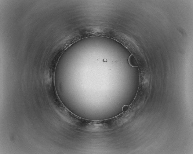 X0000110920607200906181410