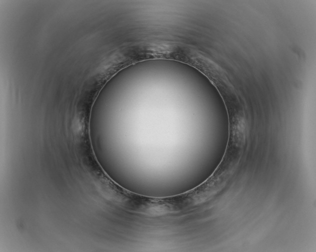 X0000110920608200906181410