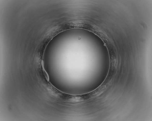 X0000110920609200906181410