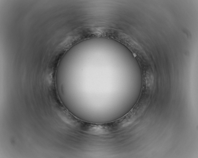 X0000110920611200906181410