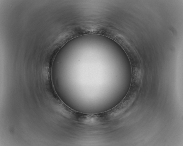 X0000110920612200906181410