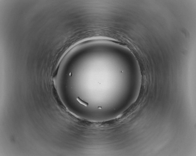 X0000110920613200906181410