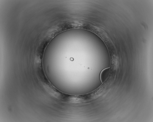 X0000110920614200906181410