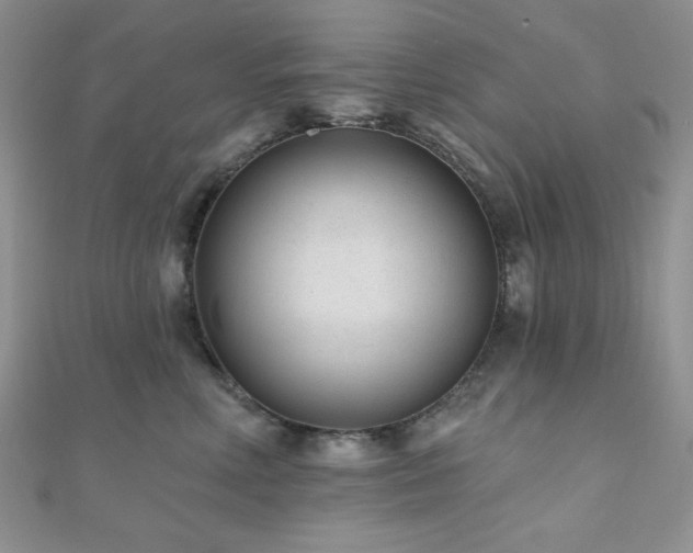 X0000110920618200906181410