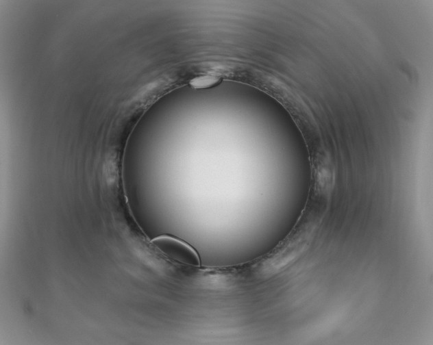 X0000110920620200906181410