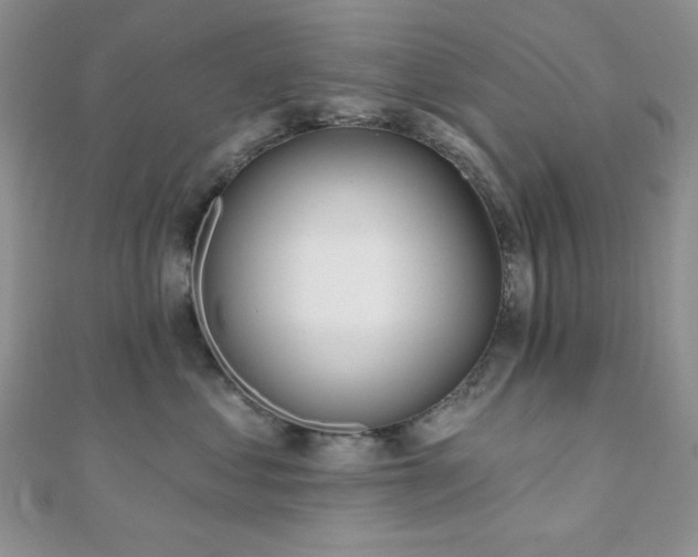 X0000110920621200906181410
