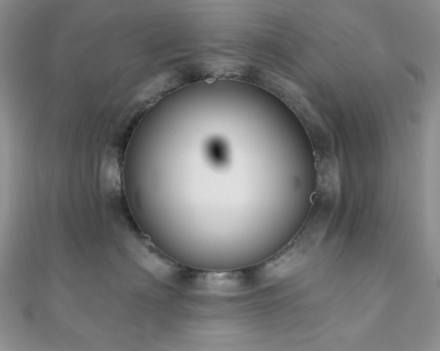X0000110920622200906181410