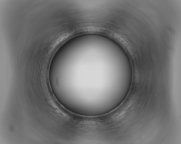 X0000110920625200906181409