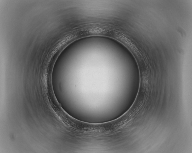 X0000110920626200906181409