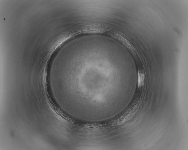 X0000110920627200906181409