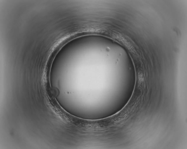 X0000110920628200906181409