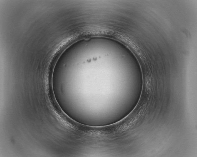 X0000110920629200906181409