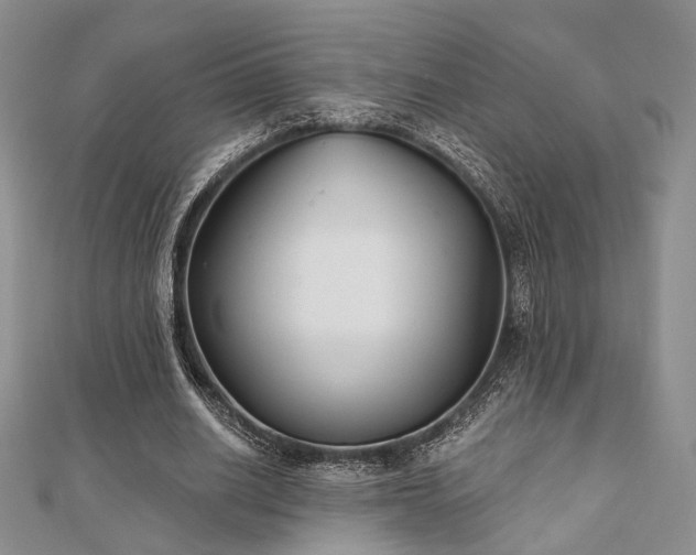 X0000110920630200906181409