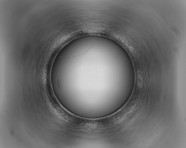 X0000110920631200906181409