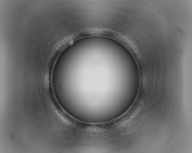 X0000110920633200906181409