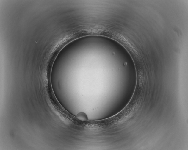X0000110920634200906181409