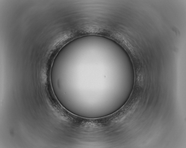 X0000110920635200906181409