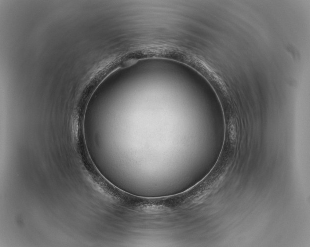 X0000110920637200906181409