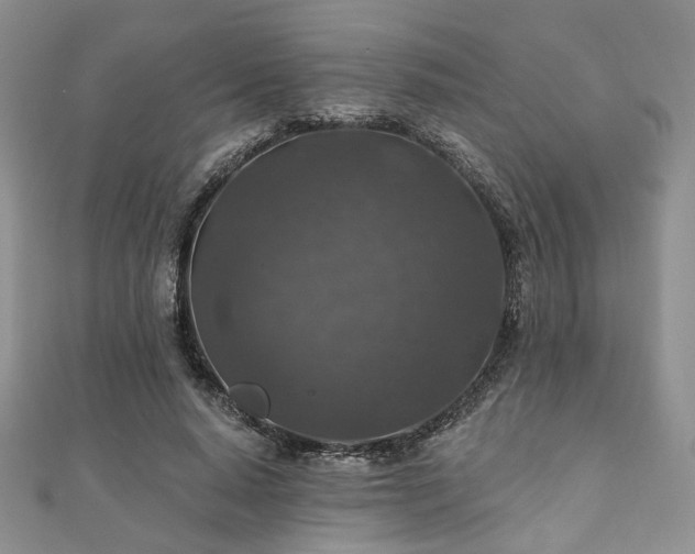 X0000110920640200906181409