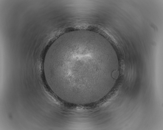 X0000110920641200906181409