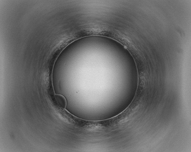 X0000110920642200906181409