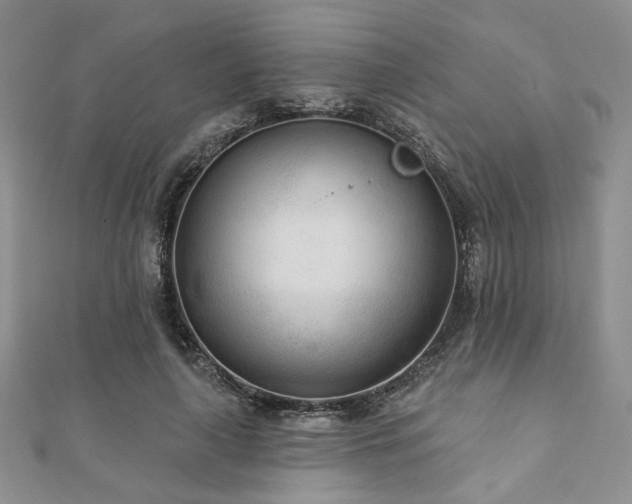 X0000110920643200906181409