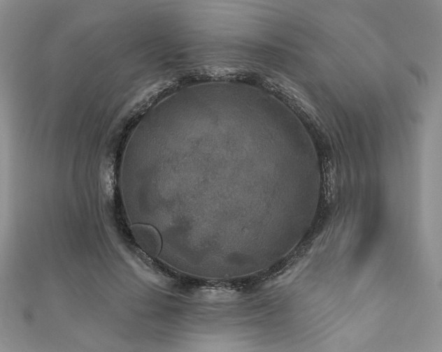 X0000110920644200906181409