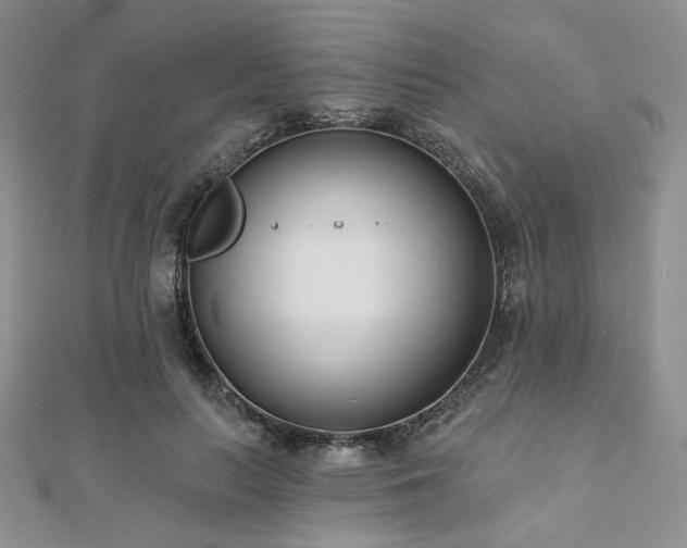 X0000110920647200906181409