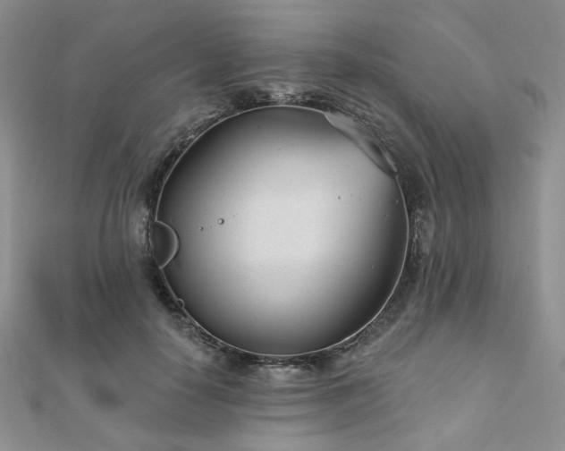X0000110920650200906181410