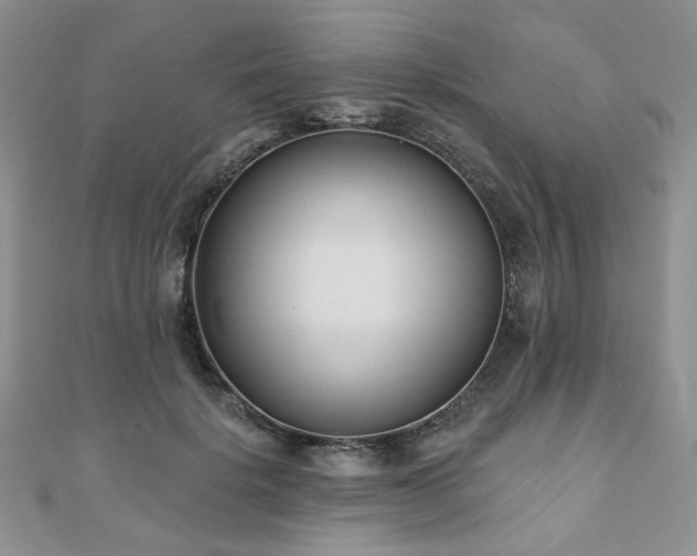 X0000110920652200906181410