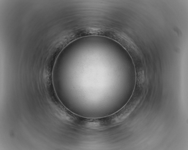 X0000110920653200906181410